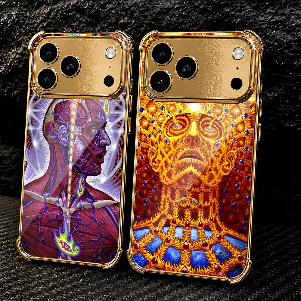 Aesthetic Art A-Alex Grey Phon - Metal Photo Panel review and price